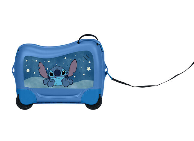 Multifunctional leash