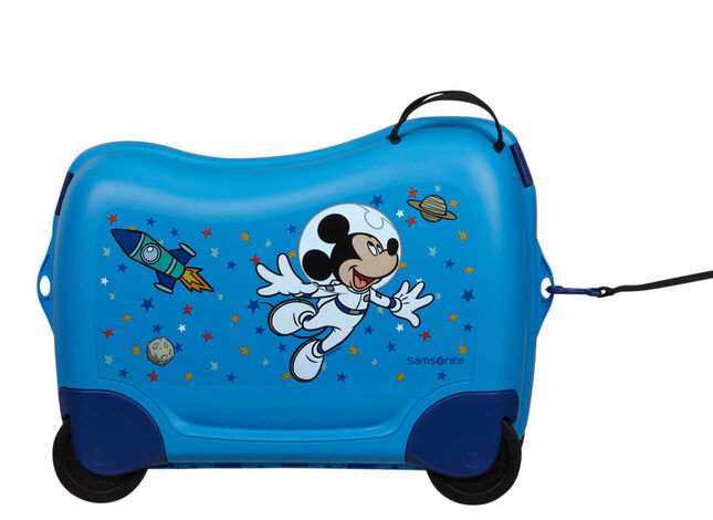 Multifunctional leash