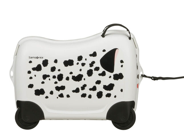 Multifunctional leash