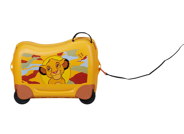 Multifunctional leash