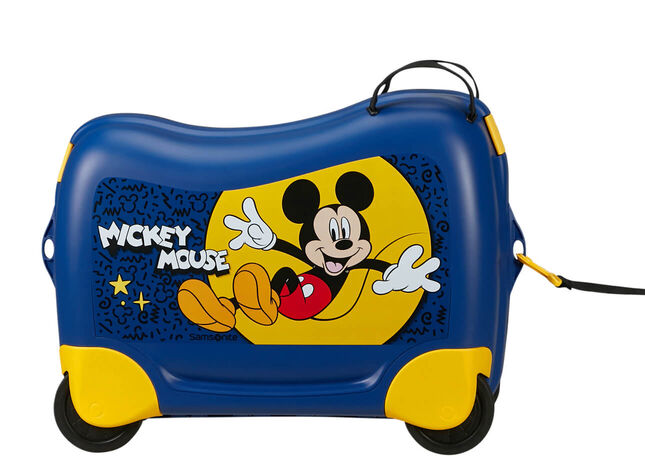 Multifunctional leash