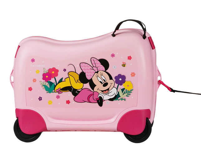 Multifunctional leash