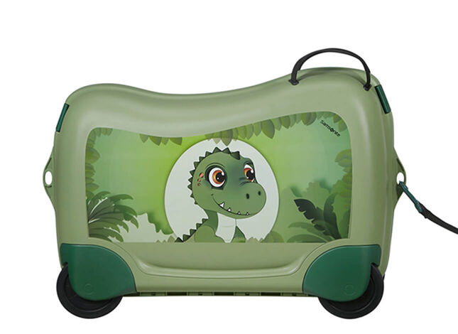 Multifunctional leash