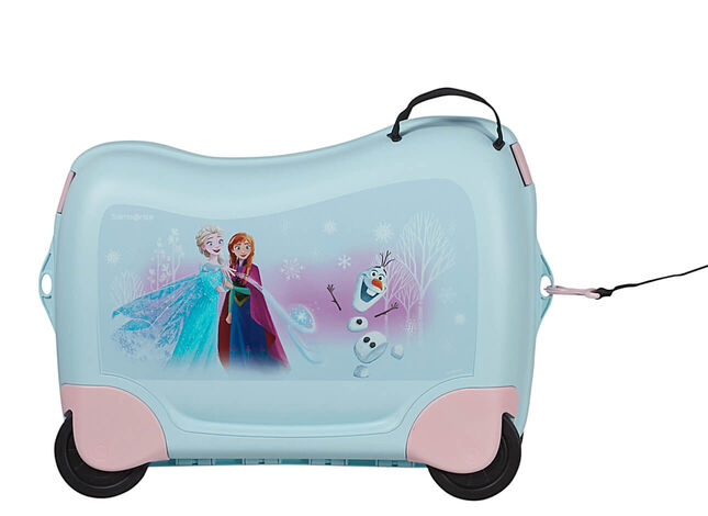 Multifunctional leash