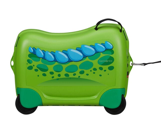 Multifunctional leash