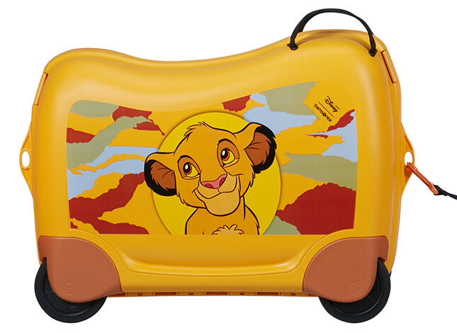 Multifunctional leash