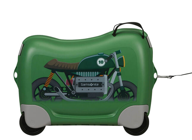 Multifunctional leash