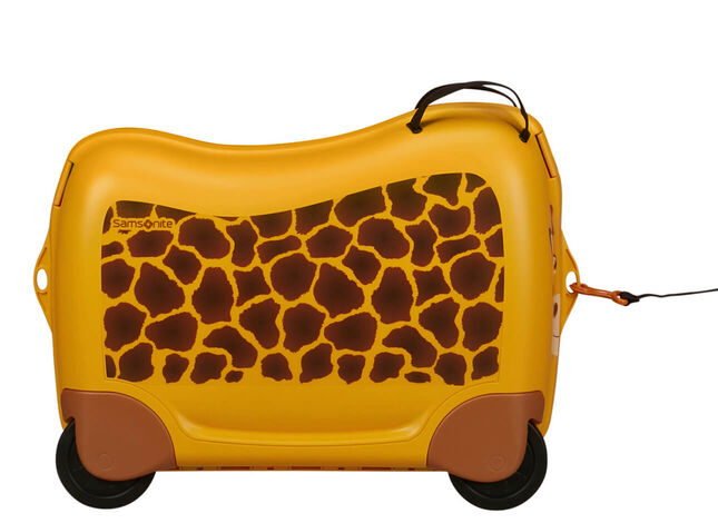 Multifunctional leash