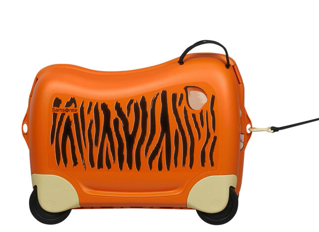 Multifunctional leash