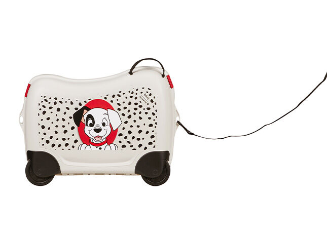 Multifunctional leash