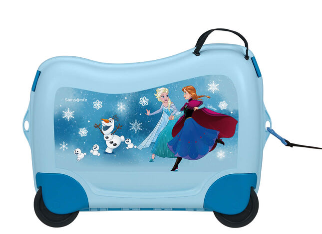 Multifunctional leash